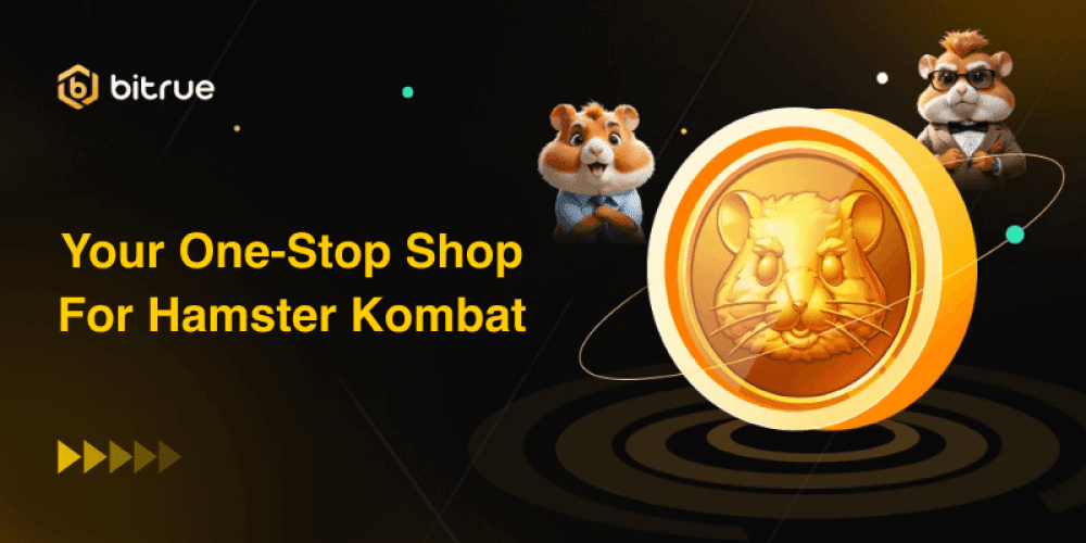 Hamster Kombat (HMSTR) Airdrop – The Biggest Web3 Success Story of 2024